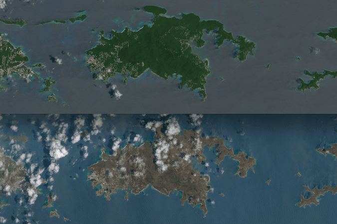 Hurricane Irma Stripped Caribbean of so Many Trees and Leaves They Changed Color