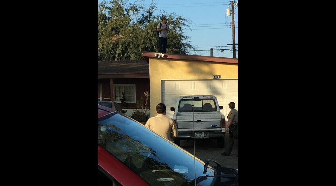 83-Year-Old Steps in and Throws Man Off the Roof