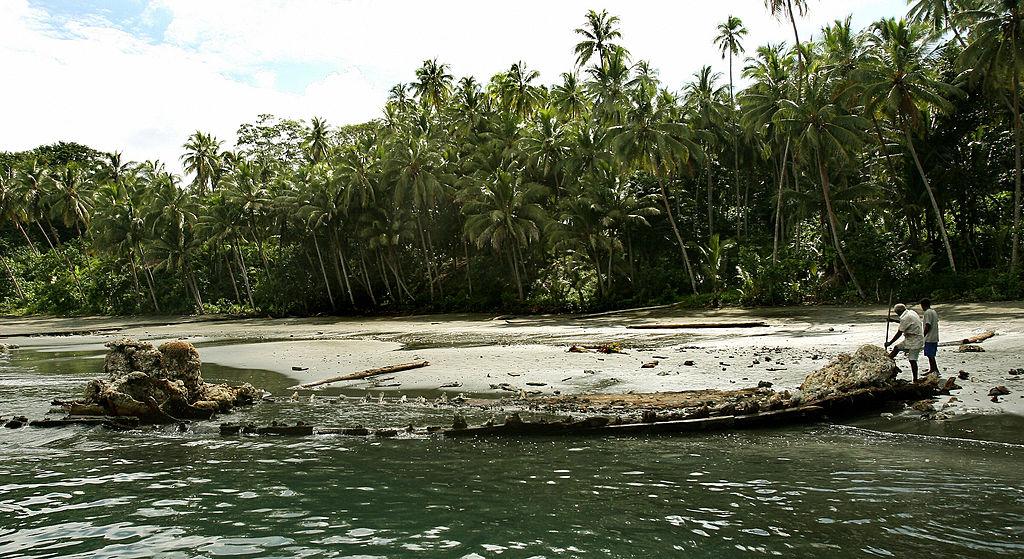 Legendary Giant Rat Discovered on Solomon Islands Confirmed as New Species