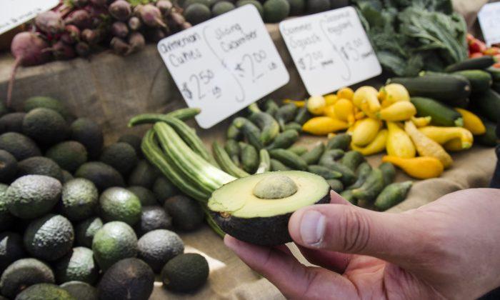 Social Media Users Blast Report America Would Run Out of Avocados If Trump Shuts Mexican Border
