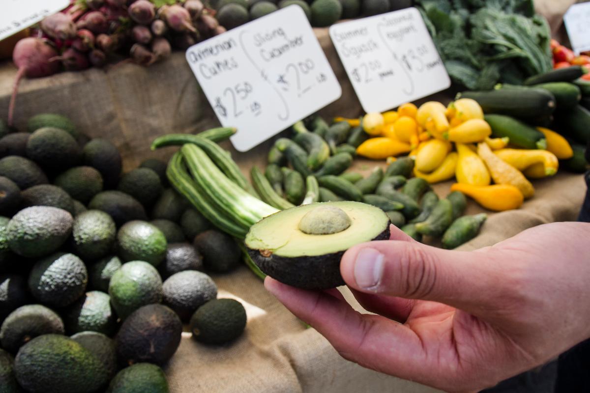 Social Media Users Blast Report America Would Run Out of Avocados If Trump Shuts Mexican Border