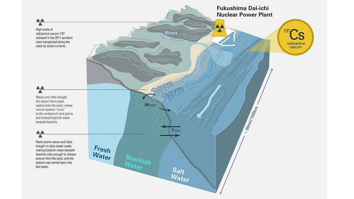 (Natalie Renier, Woods Hole Oceanographic Institution)
