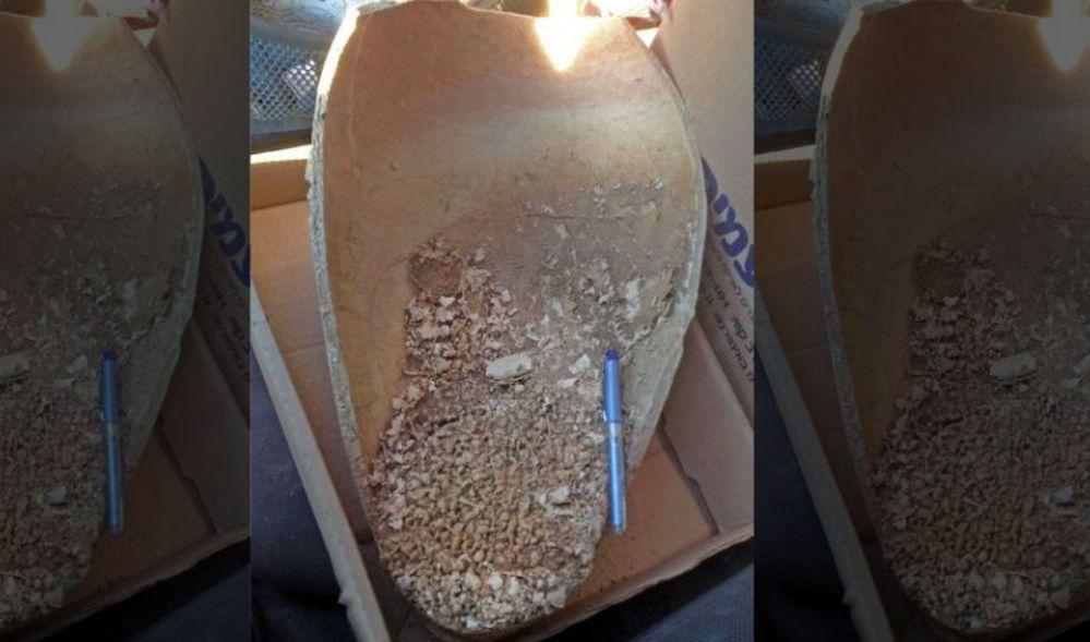 Ancient Mystery: 4,000-Year-Old Headless Toads Found in Israeli Tomb