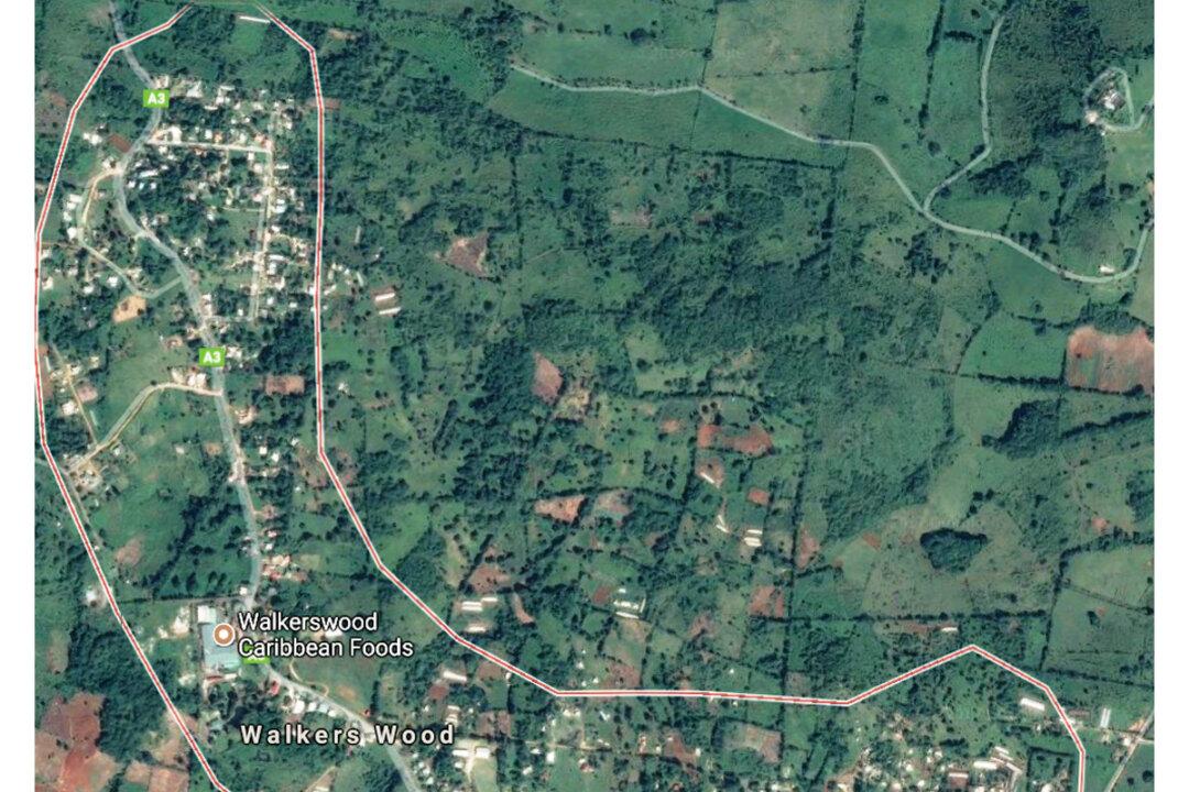 How My Ancestors Helped to Build a Town