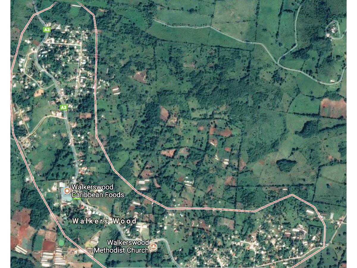 How My Ancestors Helped to Build a Town