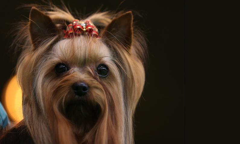 Woman’s ‘Heart Attack’ Was Actually a Broken Heart