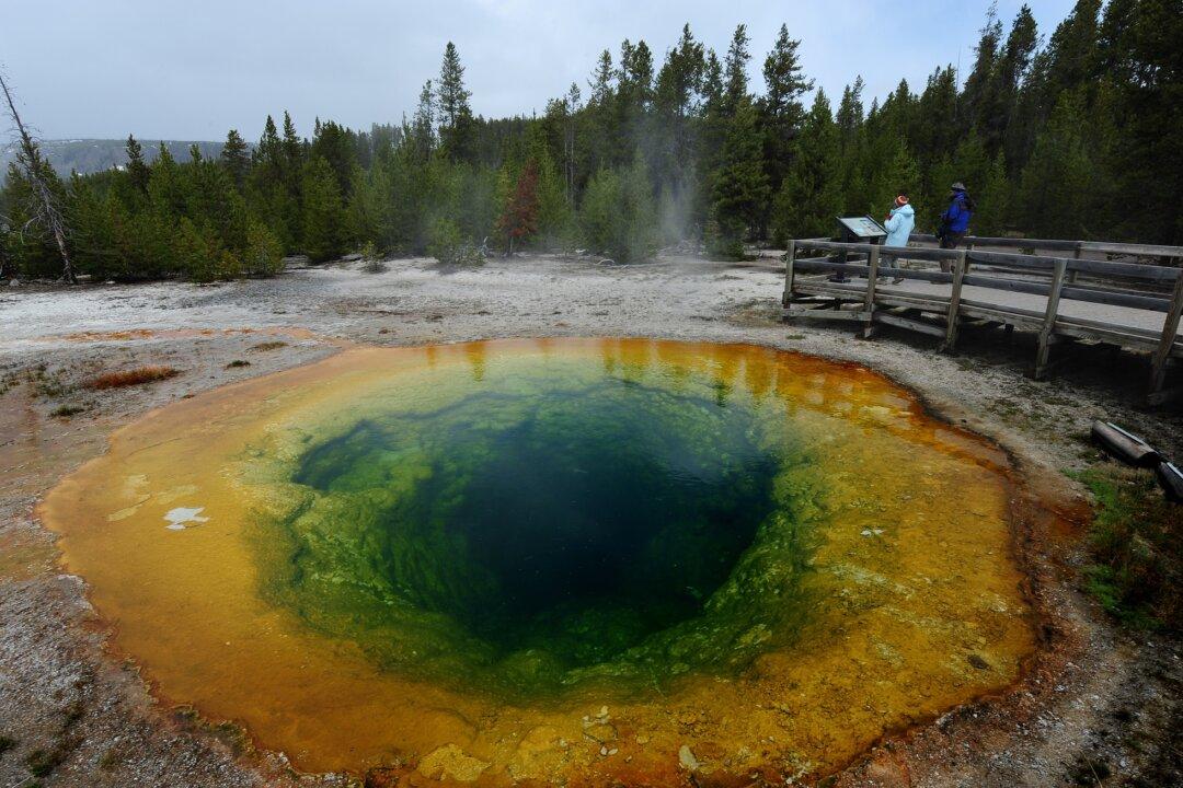 Noisy Yellowstone Geyser Erupts for the First Time in Years