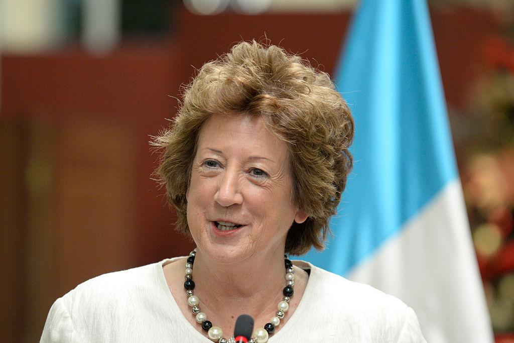 Brexit Minister Baroness Anelay Resigns Citing Helicopter Injury