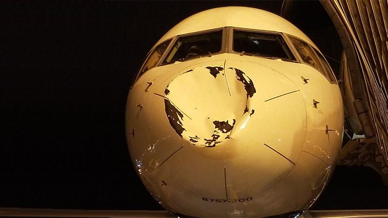 Bird Crashes Into NBA’s Oklahoma Thunder Team Jet