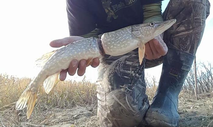 ‘Pick Up Your Garbage’, Says Man Who Caught Deformed Fish