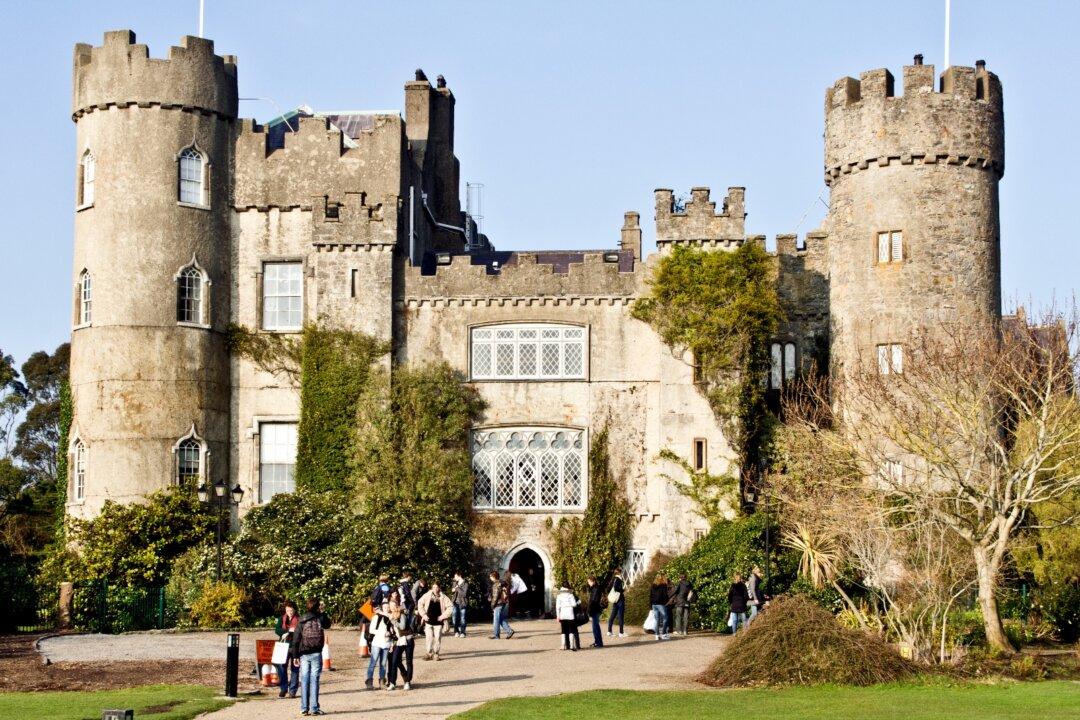 Seals, Puffins, and a Haunted Castle: A Day Trip From Dublin