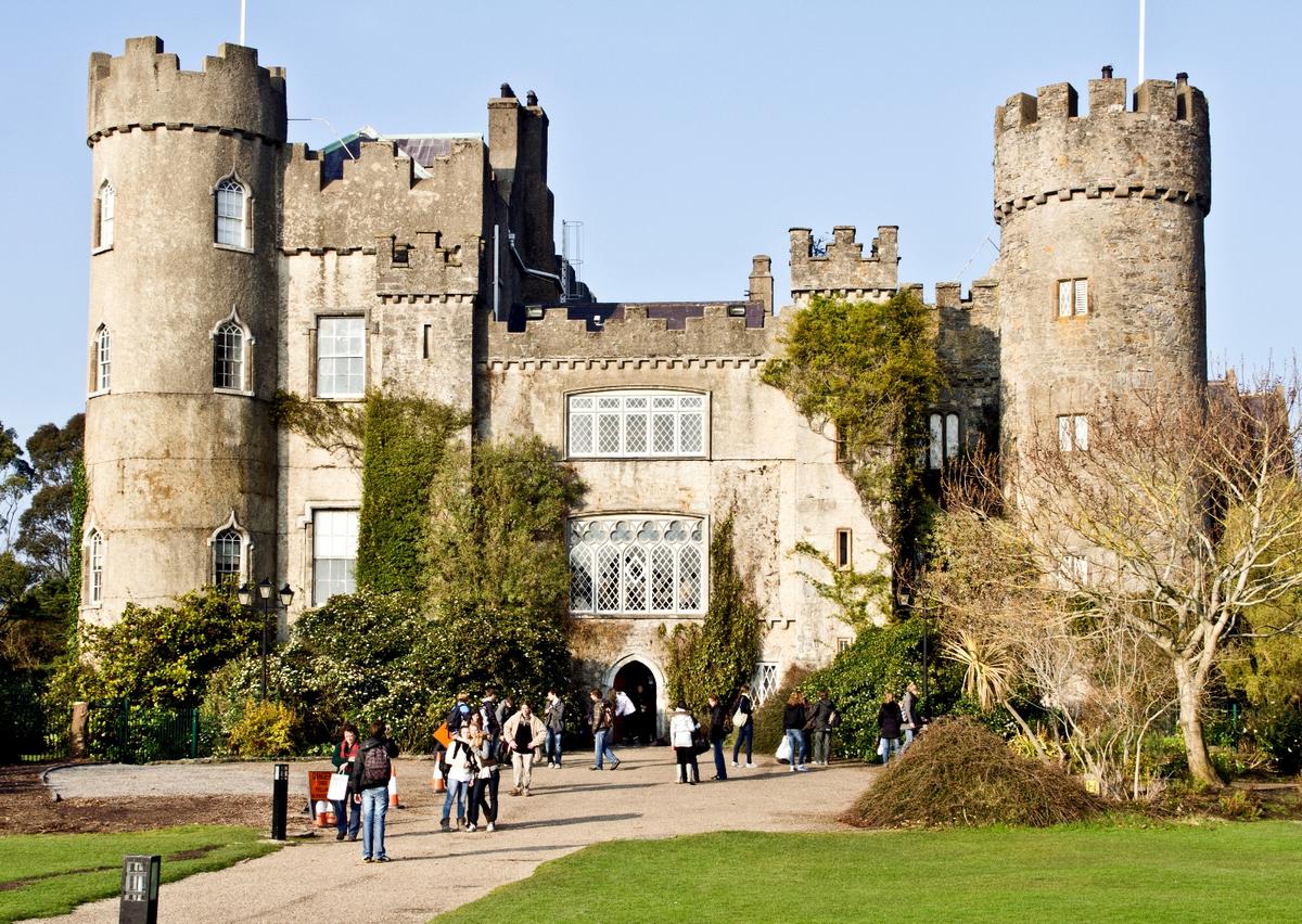 Seals, Puffins, and a Haunted Castle: A Day Trip From Dublin