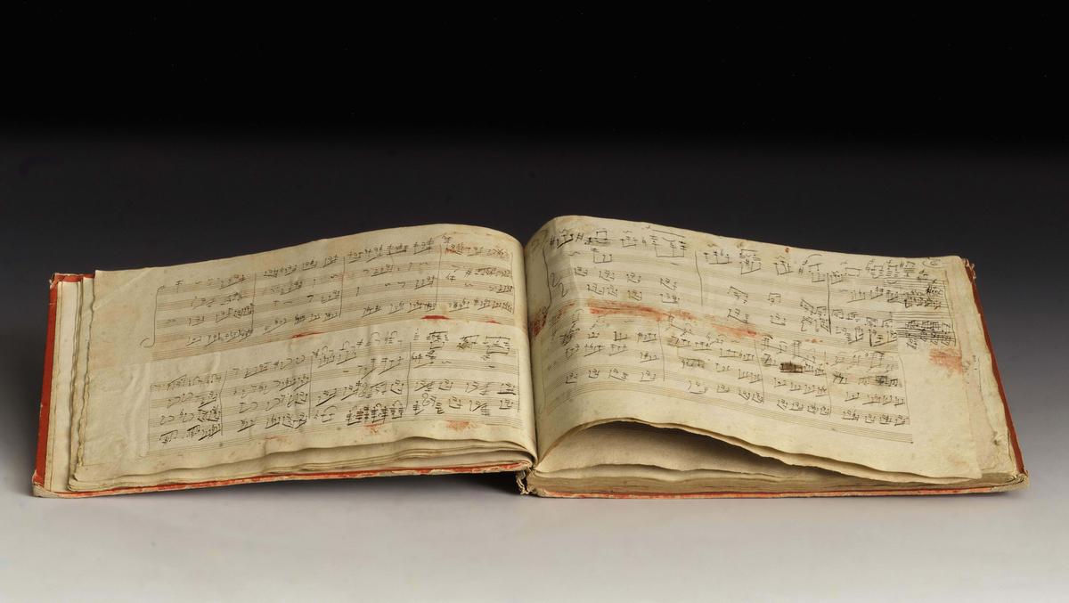 College Professor Susan Woodard: The Classics Foster a Life of Reconsideration