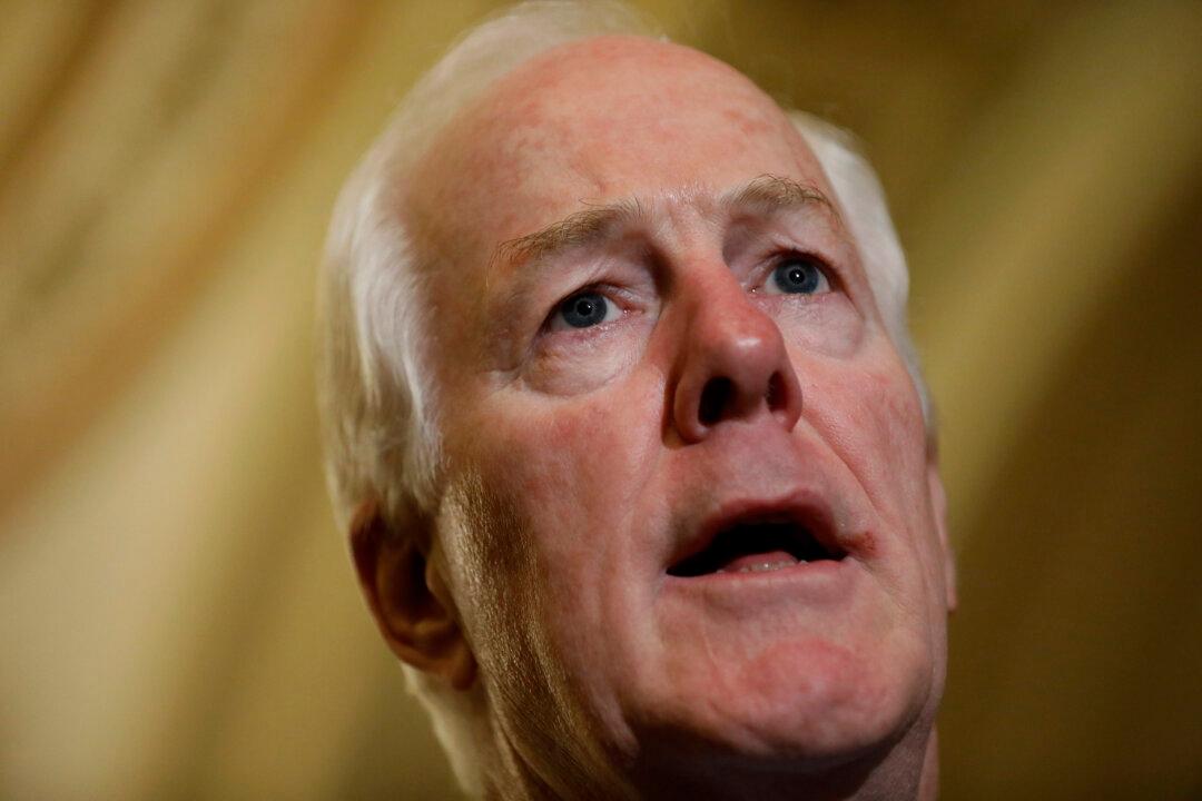 Texas Senator Pushes to Bar Chinese Investments That Risk US National Security