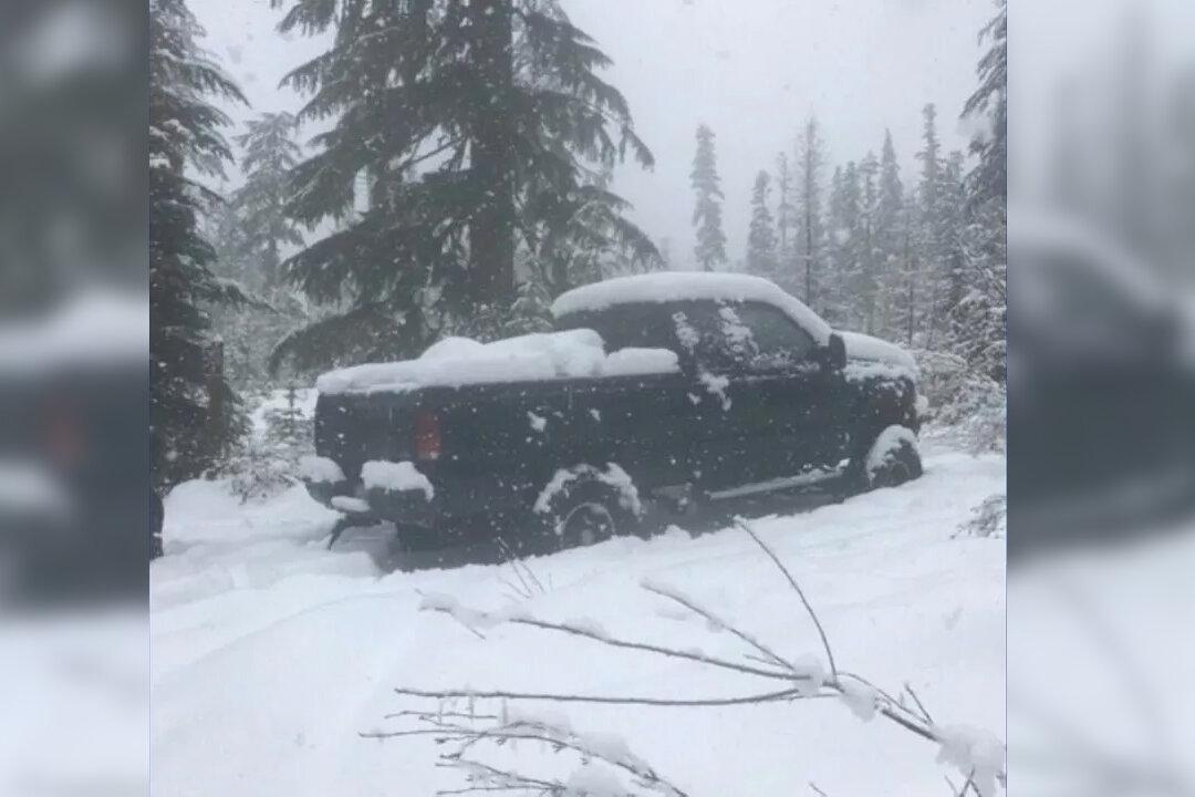 Body of Missing Elk Hunter Recovered in Washington