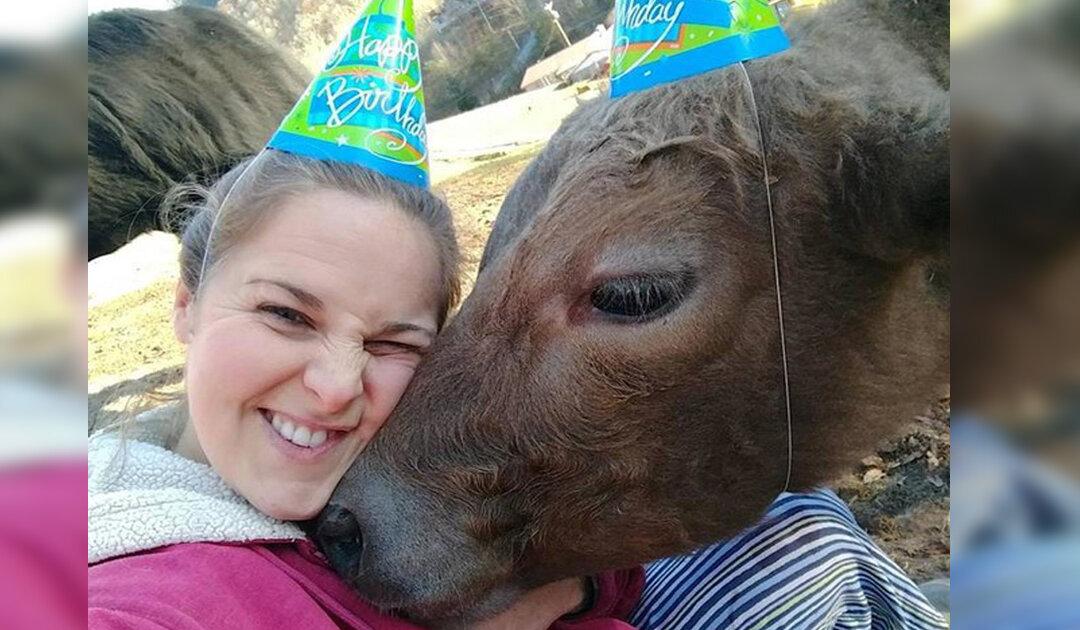 Woman tragically loses her favorite animal. Then she spots another grieving animal