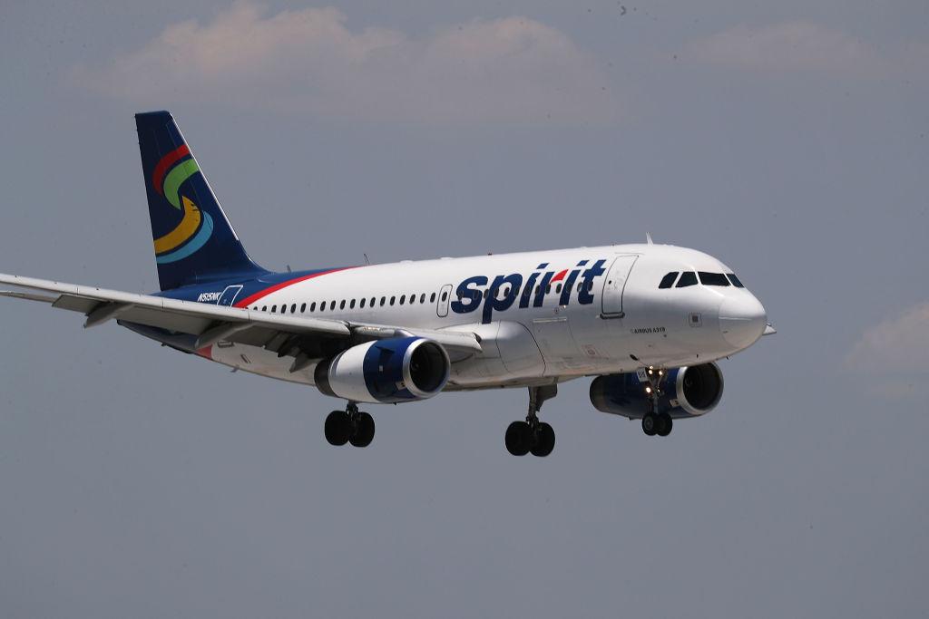 Spirit Airlines Employee Allegedly Told Student to Flush Emotional Support Hamster Down the Toilet