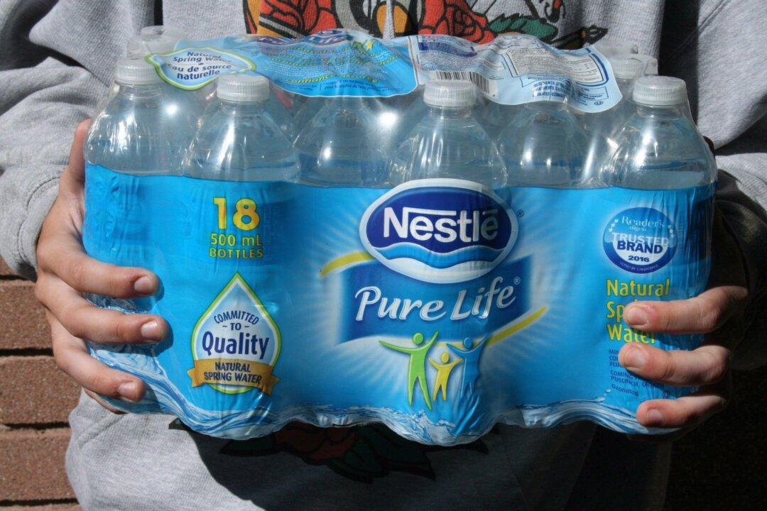 ‘A Lot of Societal Angst’ Over Ontario Nestlé Permit Deal, Says Water Watchdog