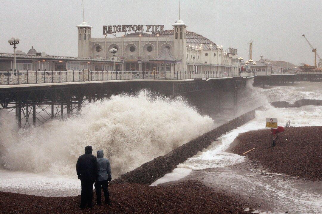 Dog Owner Risks her Life in Desperate Bid to Rescue her Pet Dog from Icy Waves