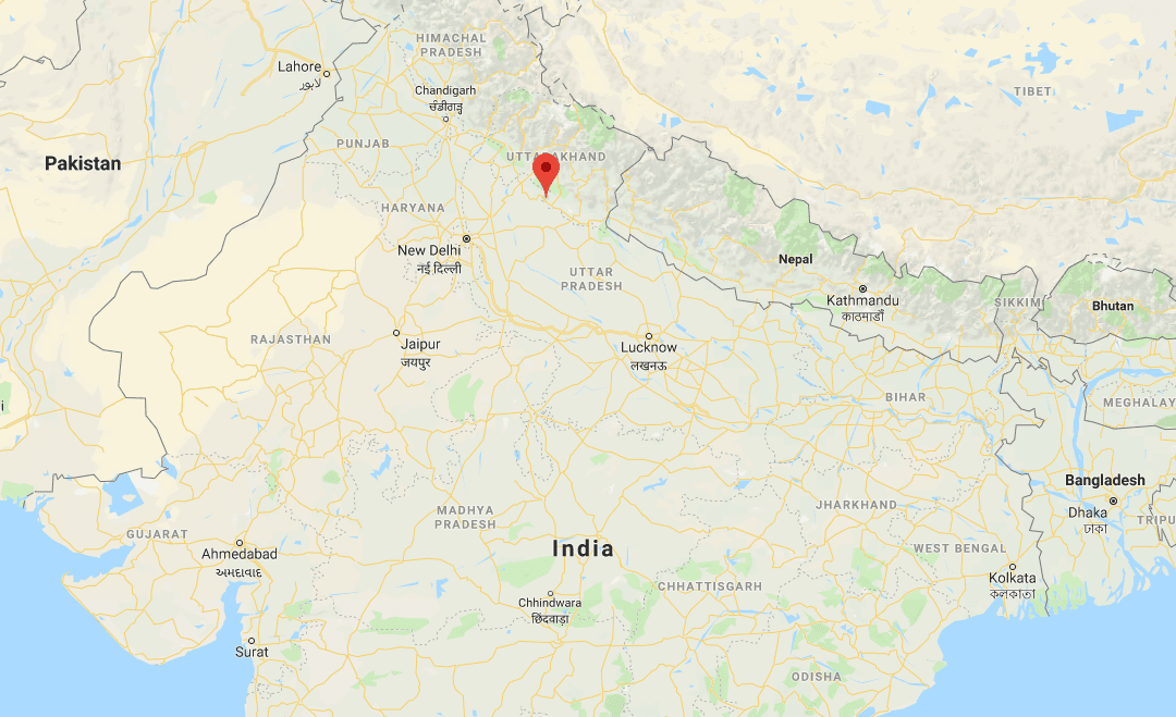 Astonishingly Preserved Corpse of Creature Looking Like Dinosaur Discovered in India