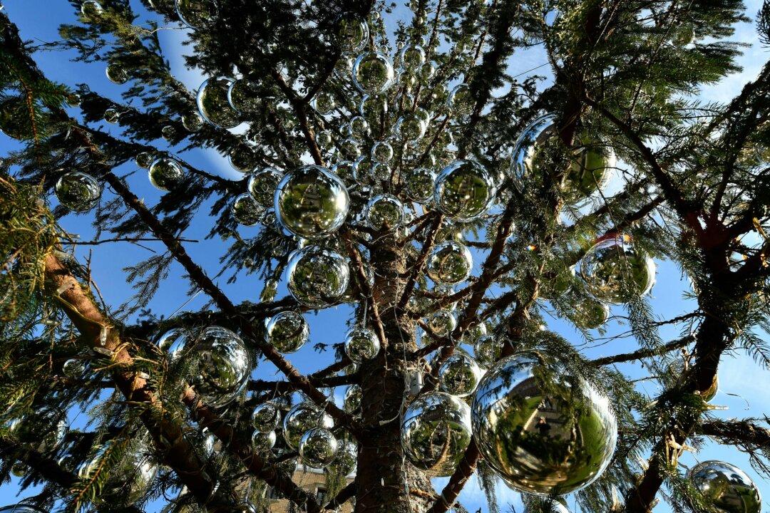 Romans Decry ‘Grungy,’ a Threadbare Christmas Tree, as Sign of Decline