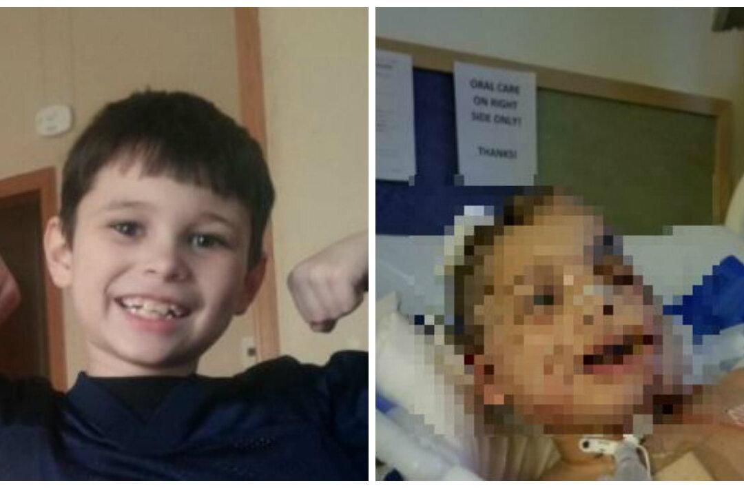 10-Year-Old Kansas Boy Attacked by Dog—Here’s What Breed It Was