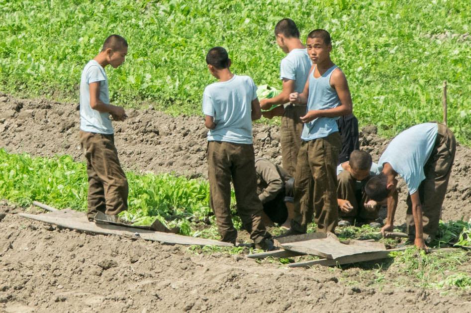 North Korean Soldiers Given Leave to Collect Food: Report