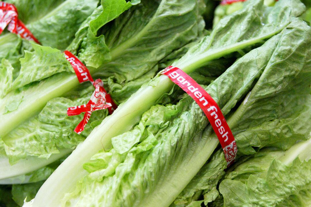 Report: President Trump Spared Exposure to Tainted Romaine Lettuce, White House Says