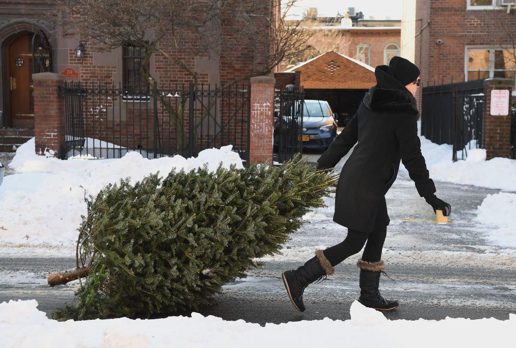 Woman Returns ‘Dead’ Christmas Tree to Costco for a Refund, in January