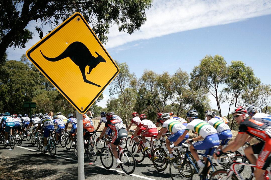 Tourist Snaps Hilarious Photo of Kangaroo Striking Seductive Pose