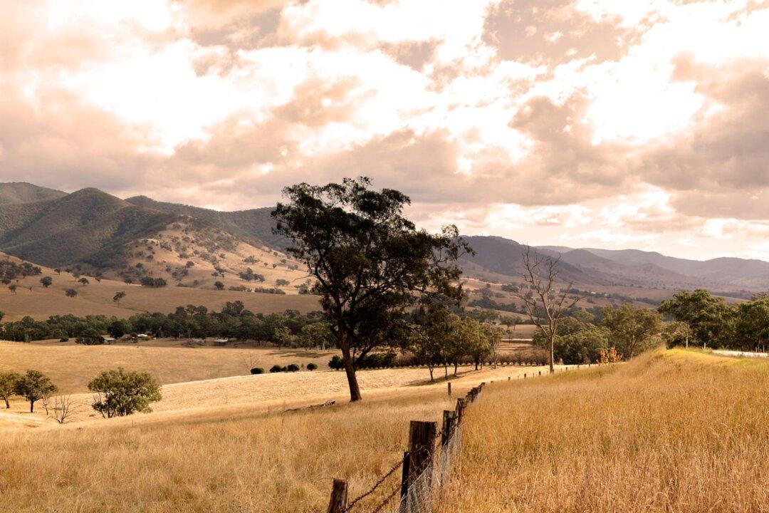 Farmer Who Breaks His Neck Carried His Own Head to Call for Help