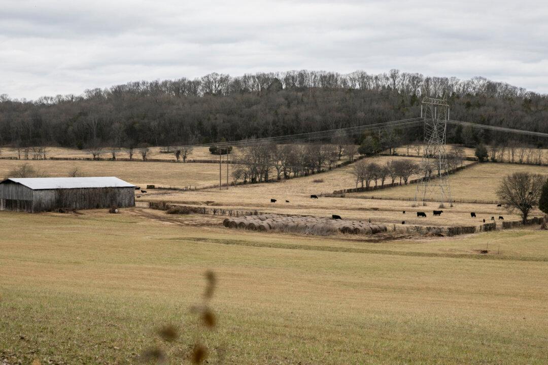 Efforts to Ban China From Purchasing Tennessee Land Draw Politicians Across the Aisle