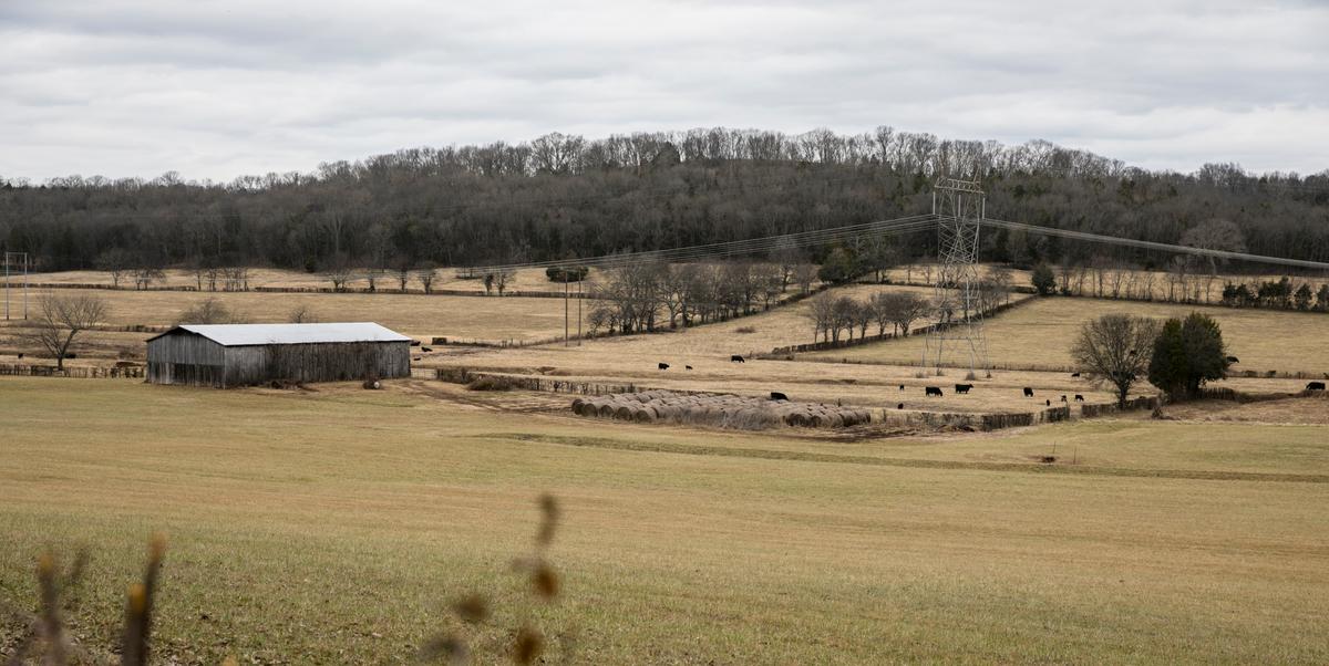 Efforts to Ban China From Purchasing Tennessee Land Draw Politicians Across the Aisle