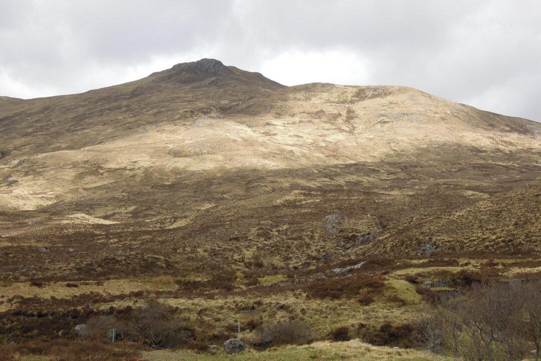 Rare White Stag Caught on Film in Scotland