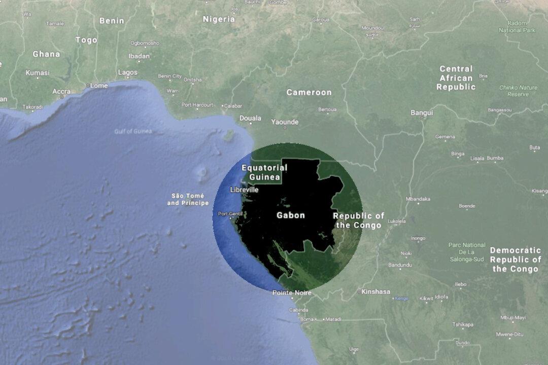 Rare Cave Crocodiles, Some With Orange Skin, Could Be Mutants