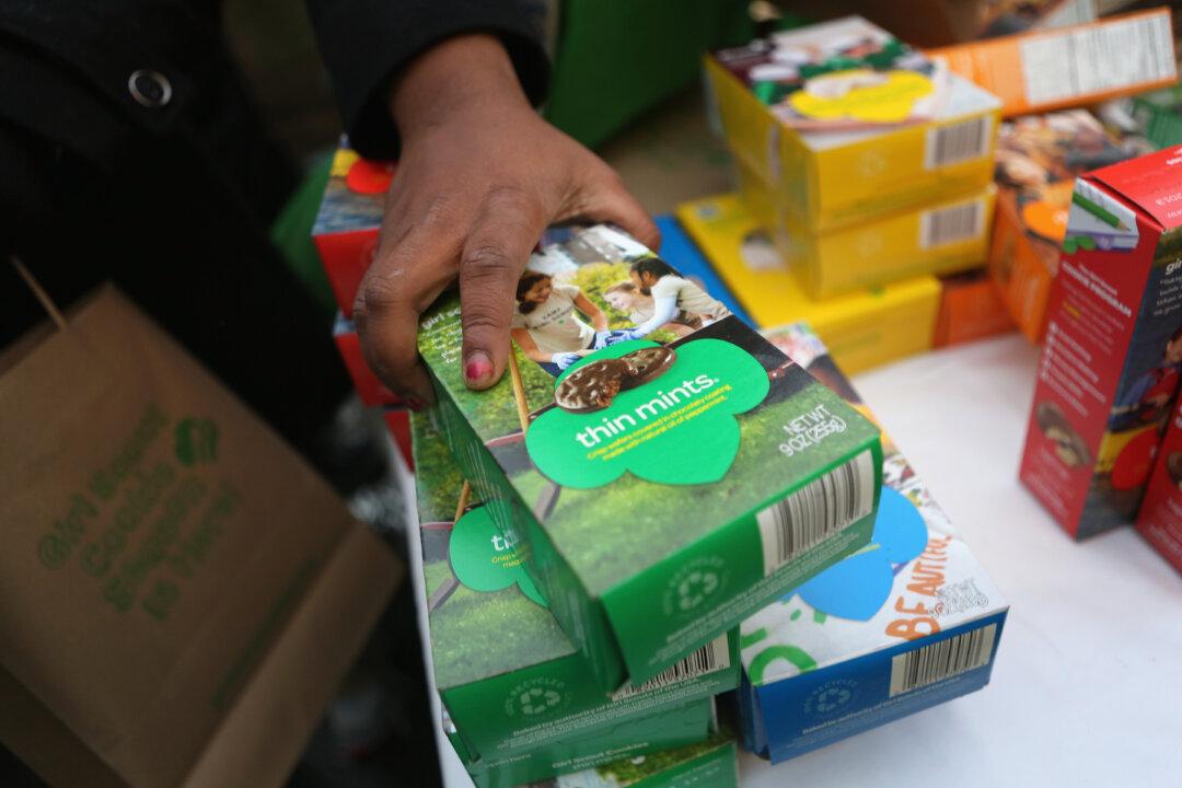 Girl Scouts Approves Membership Fee Hike