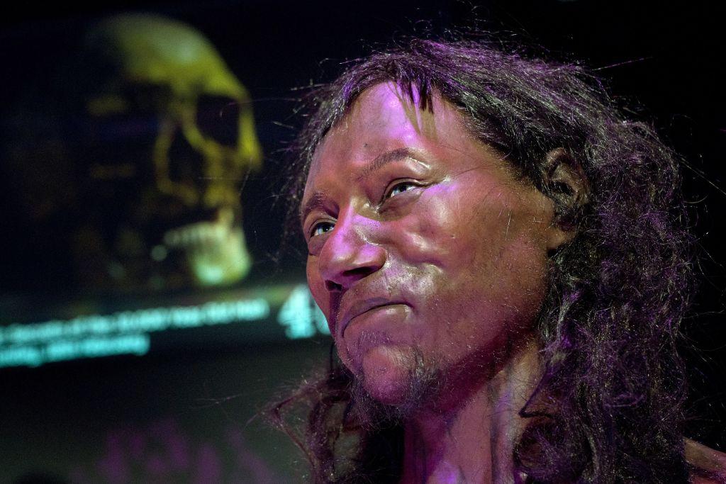 First Modern British Man Had ‘Dark to Black’ Skin, DNA Research Shows