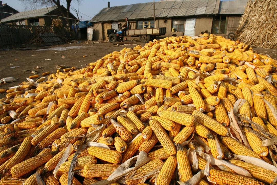 Chinese County Says It Can Only Meet Half of Grain Reserve Quota, Fueling Food Shortage Concerns