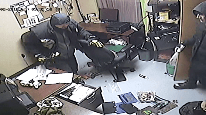 RCMP Asks Public to Track Down Thieves, Absconded with Dinosaur Scull Replicas, Glass Figurines