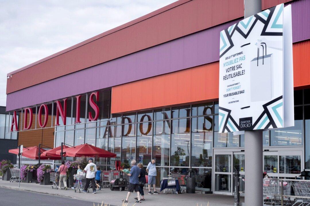 The Pros and Cons of Banning Plastic Bags: Critics Weigh In