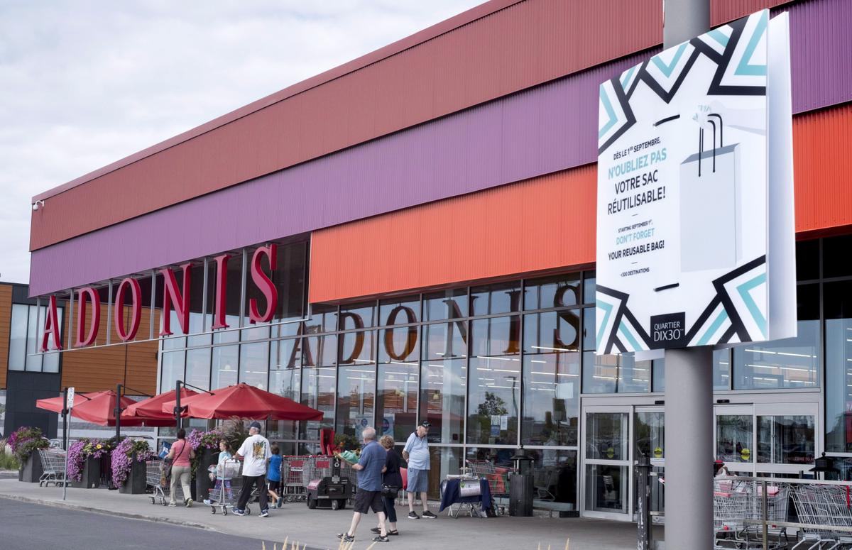 The Pros and Cons of Banning Plastic Bags: Critics Weigh In