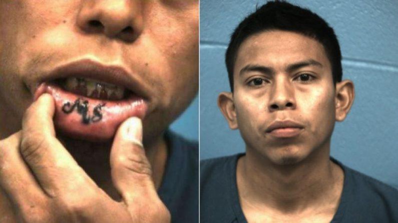 Texas Police Foil MS-13 Execution Plot With 2 Minutes to Spare