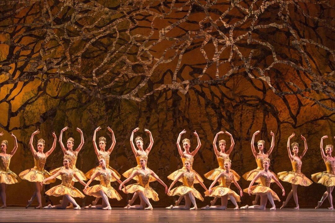 ‘The Sleeping Beauty’: The Magic of Patience