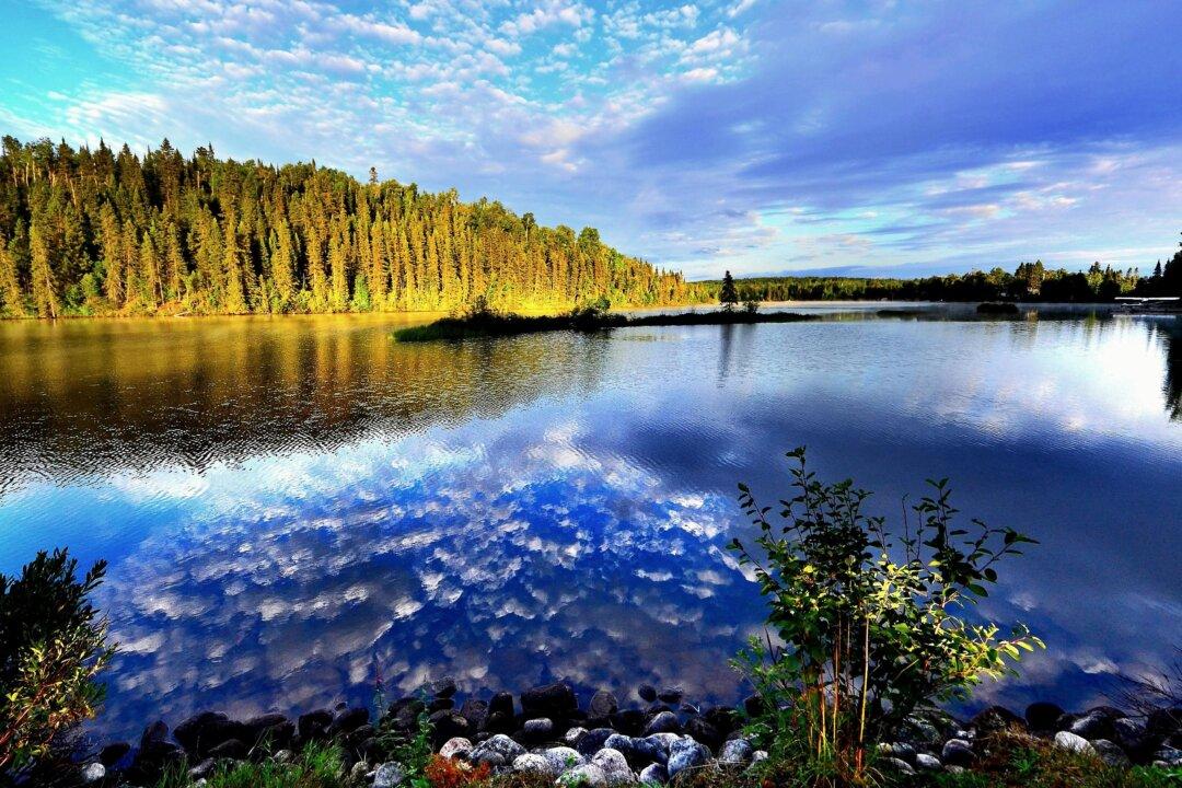 New Zealand Says It Has No Active COVID-19 Cases