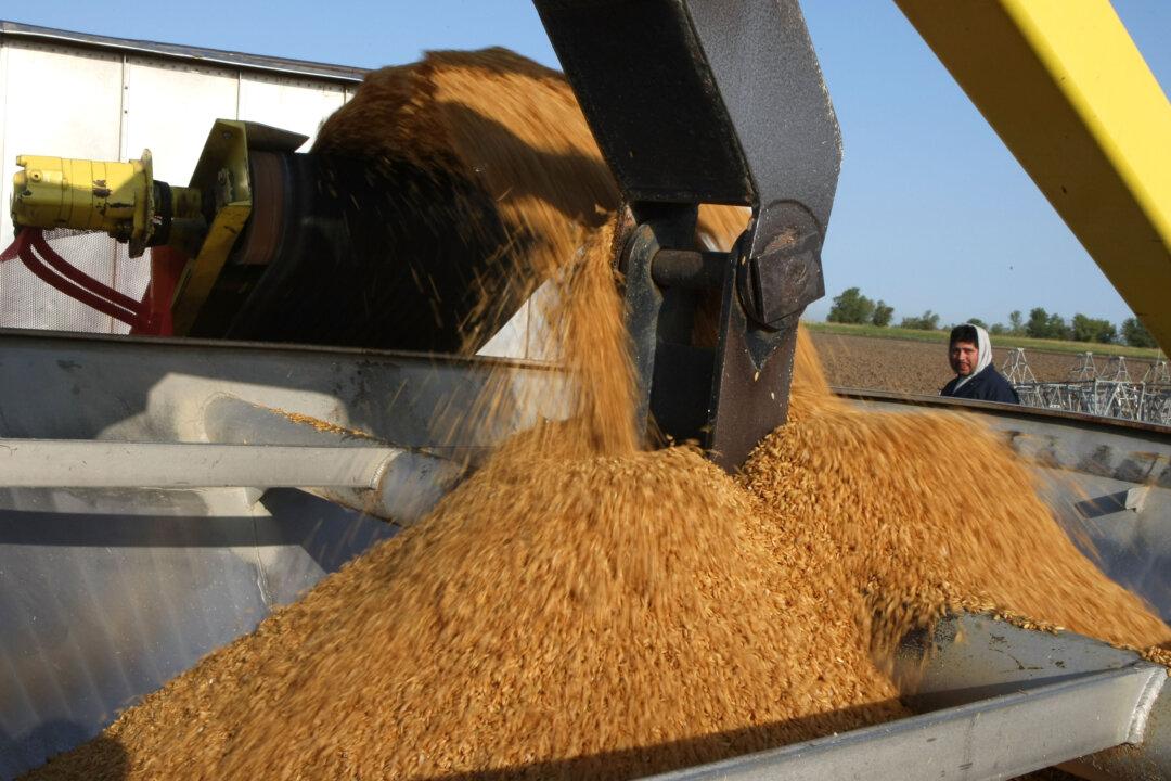 Chinese Scientist Gets 10 Years in US Prison Over Theft of GMO Rice