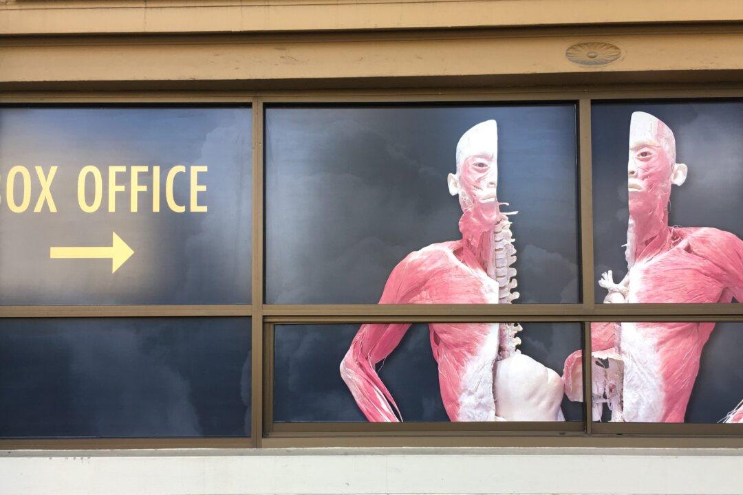 NSW Health May Be Breaking Own Rules by Letting Controversial Exhibition Display Corpses