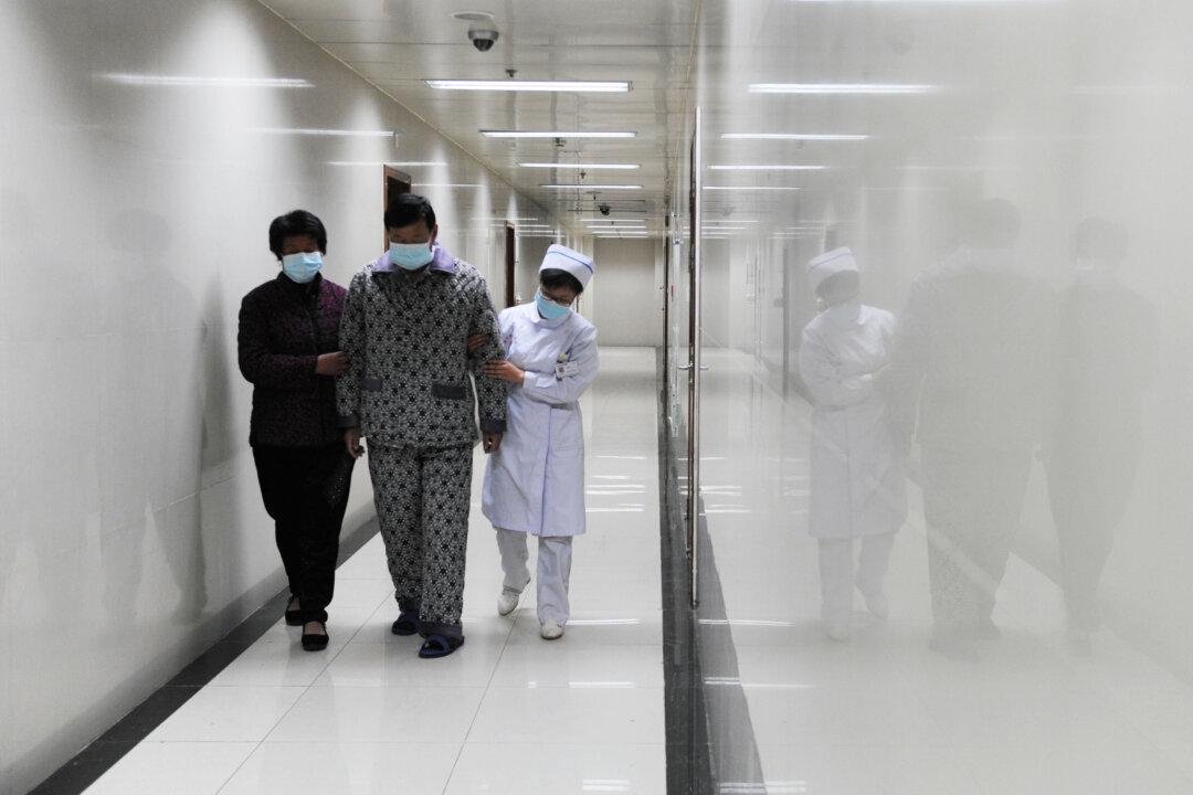 Bird Flu Spreading in Europe and Asia, Humans Found Infected As Well