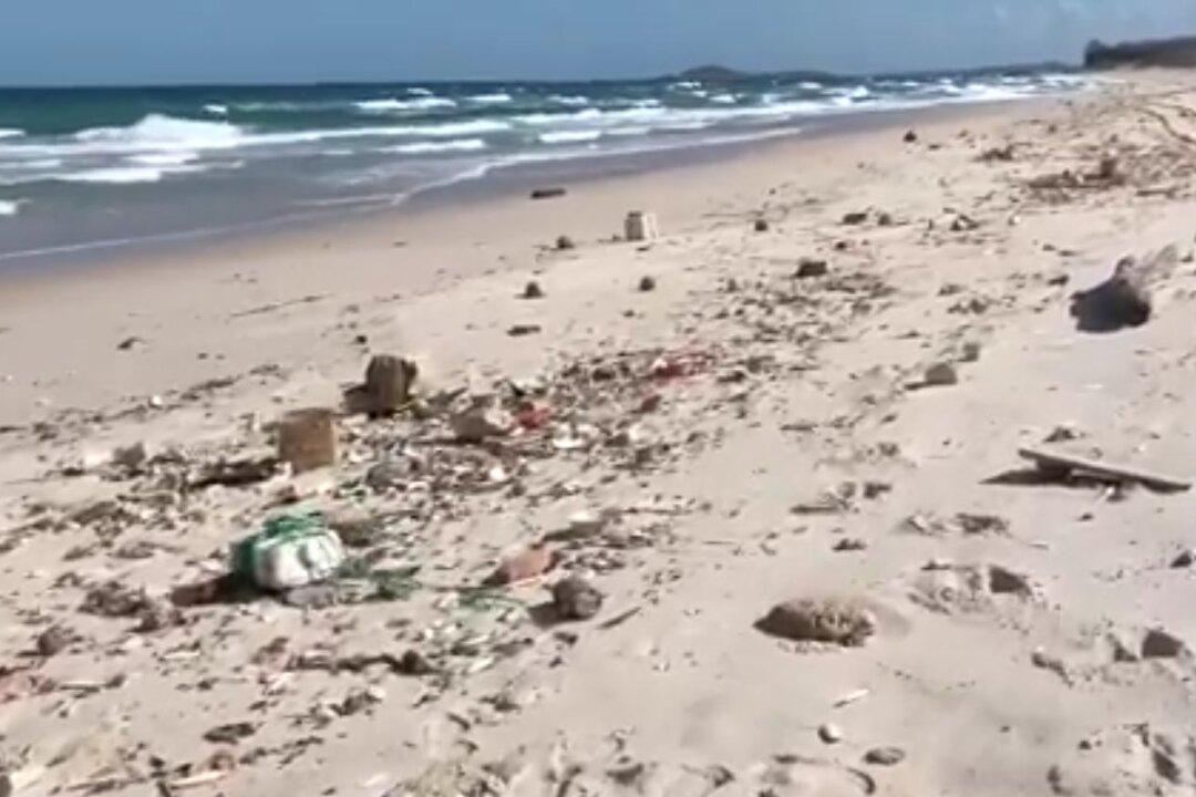 Unknown Risk in Plastic Rubbish Lining Australian Coast