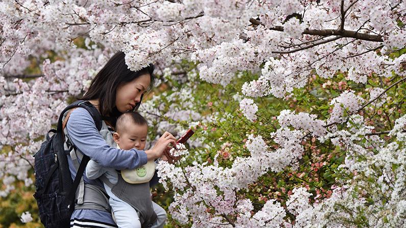 Parents’ Smartphone Addiction Linked to Children’s Behavioral Problems, Study Shows