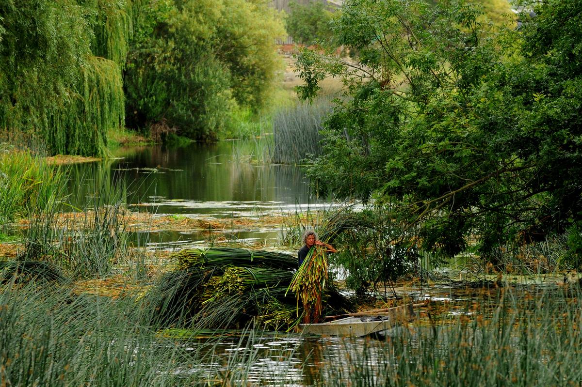 The Fate of Rush Matting in the Hands of Felicity Irons